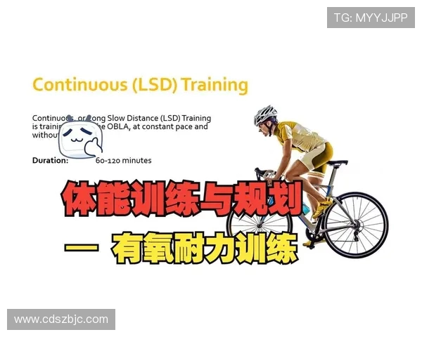 全面提升体能与健康的健身指南，从入门到进阶的全程规划