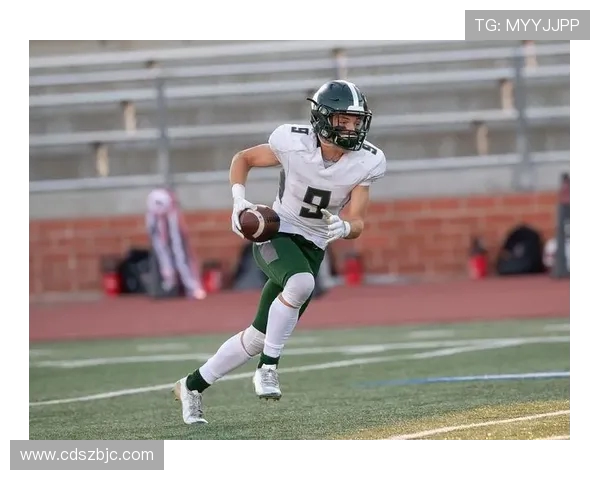 聚焦当代足球运动员成长历程与赛场风采全景深度解析全面展现魅力