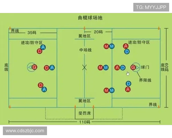 探索全球体育发展新趋势：从青少年运动到职业竞技的全面分析