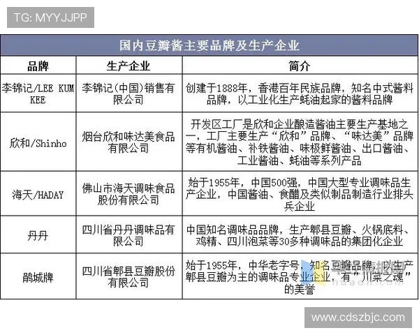 南京羽毛球队实力分析与发展前景探讨的全面研究与展望 南京羽毛球队实力分析与发展前景探讨的全面研究与展望