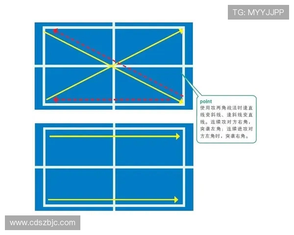 广州乒乓球队防反战术创新探索与实践分析的深度研究