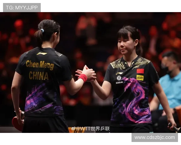 武汉乒乓球队与南京乒乓球队技术对决的深度分析与总结 武汉乒乓球队与南京乒乓球队技术对决的深度分析与总结